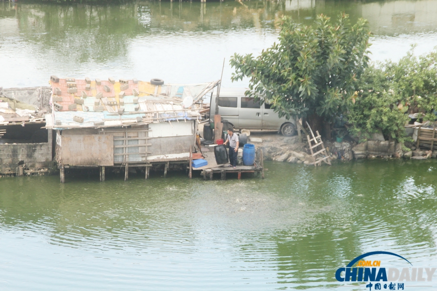 網曝?？谏先f斤“垃圾魚”流向市場 官方介入調查