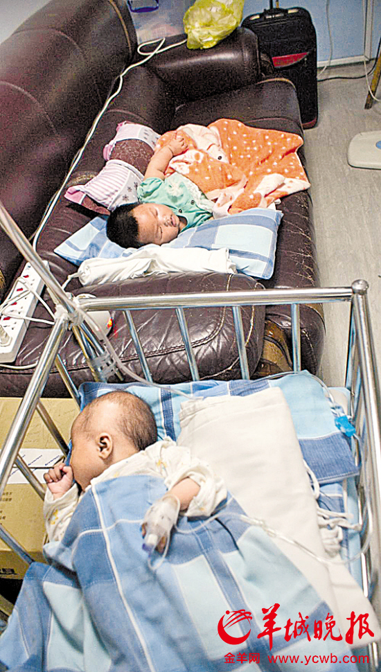 深圳三月大心臟病女?huà)霛M頭針眼被棄公交站臺(tái)(圖)