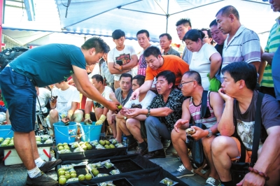 文玩核桃背后的謀生路