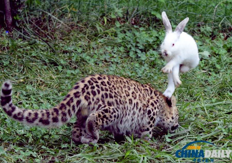 《中國日報》一周圖片精選： 9月7日—9月13日
