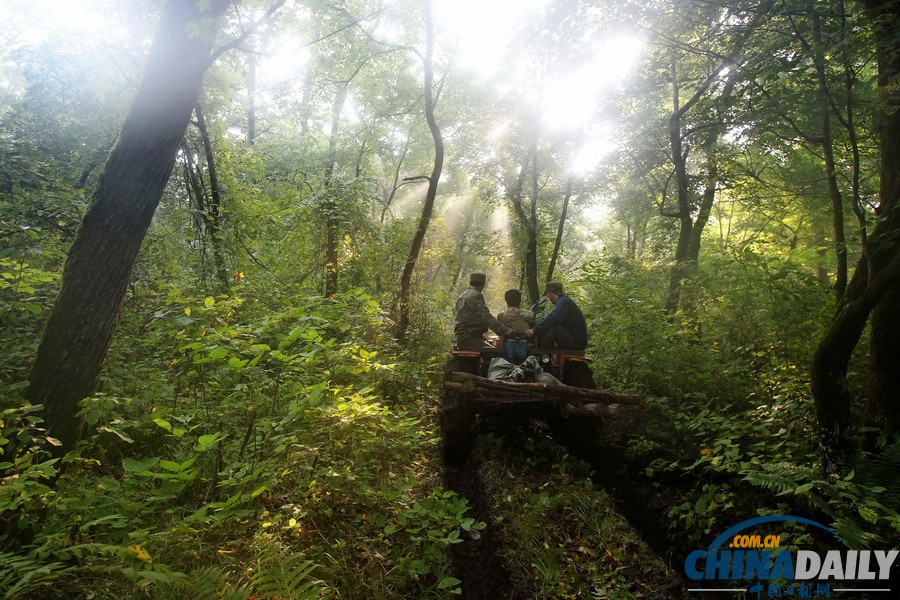 圖片故事：原始森林“跑山人”
