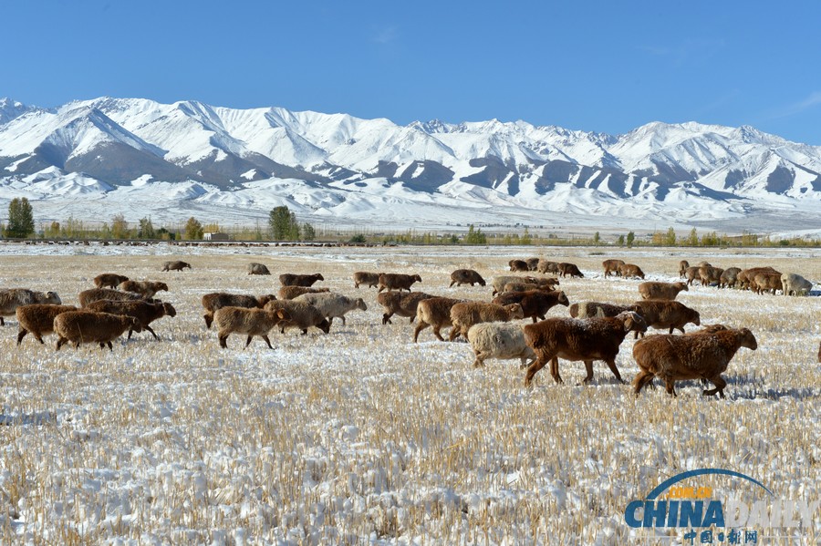 新疆哈密迎來(lái)降雪天氣 山區(qū)路段車輛擁堵滯留