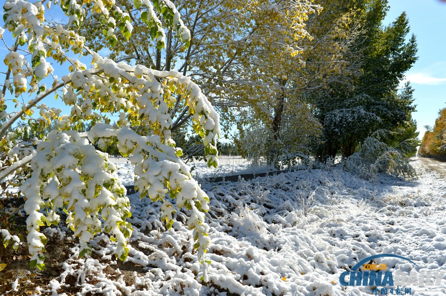 新疆哈密迎來降雪天氣 山區(qū)路段車輛擁堵滯留