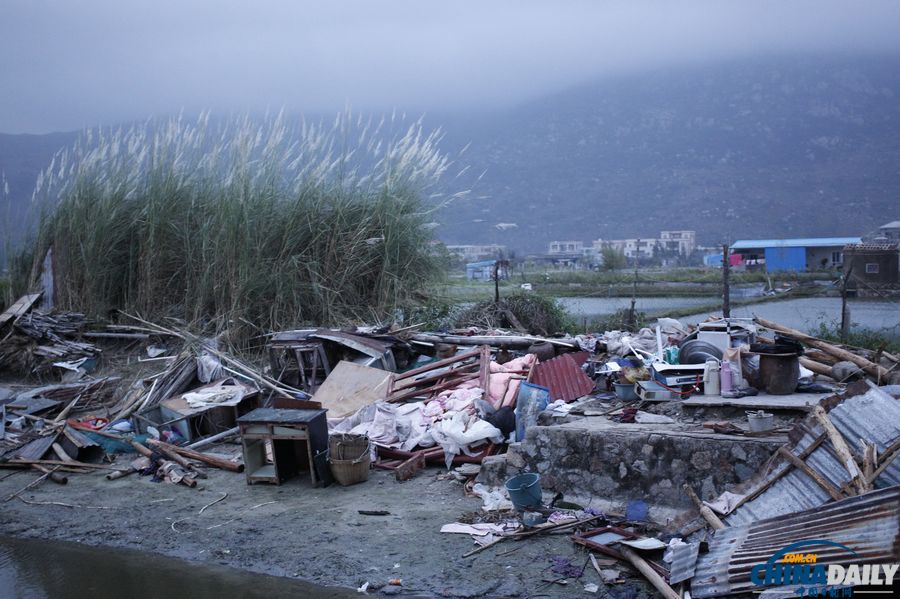 廣東陸豐：臺風“天兔”來襲 受災嚴重