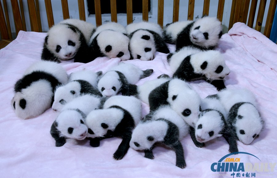 中國日報一周圖片精選:9月21日-27日