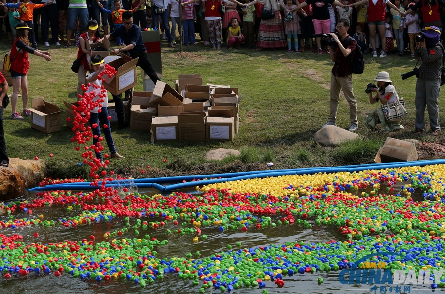 50000只五色小鴨深圳為愛漂流 壯觀場面引圍觀