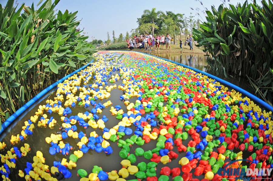 中國日報一周圖片精選：10月19日-25日