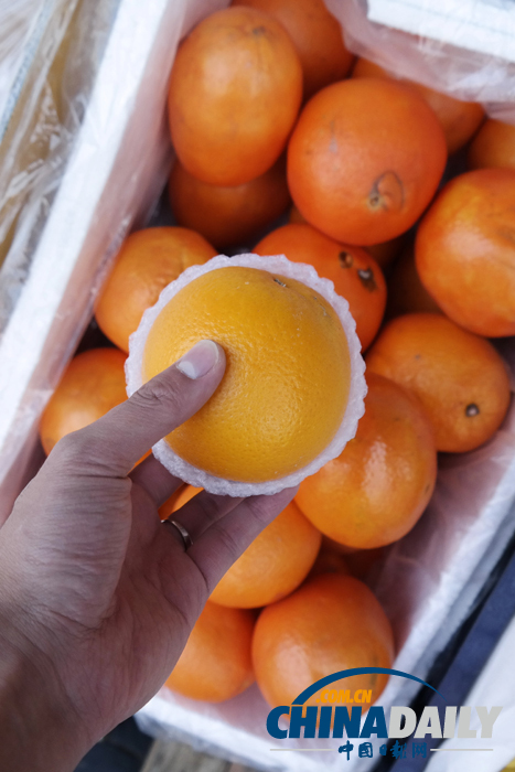 “催熟染色”臍橙驚擾水果市場