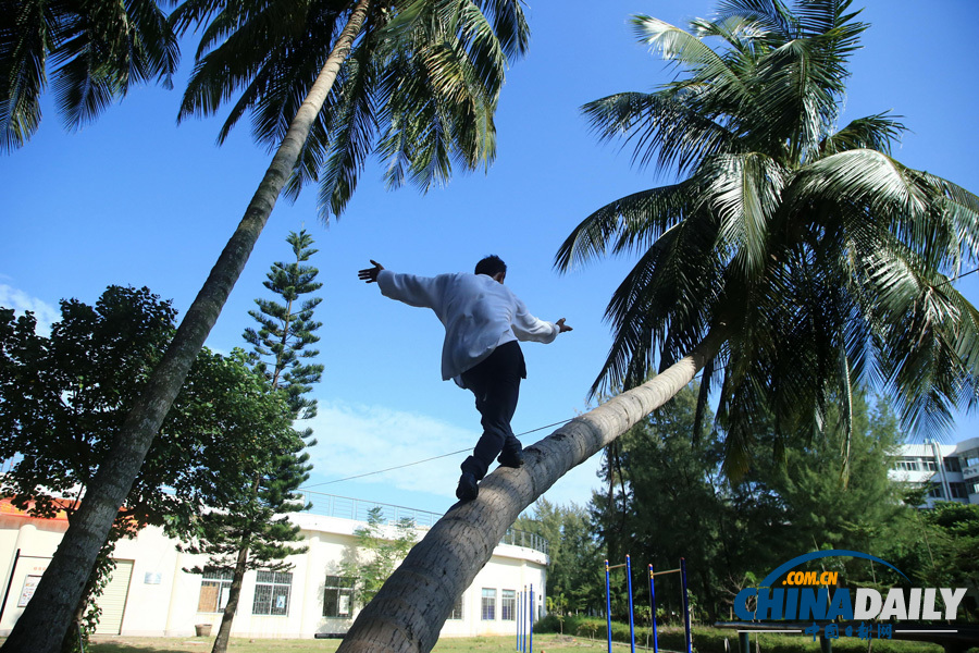 海南驚現椰子樹上練武功“神人”
