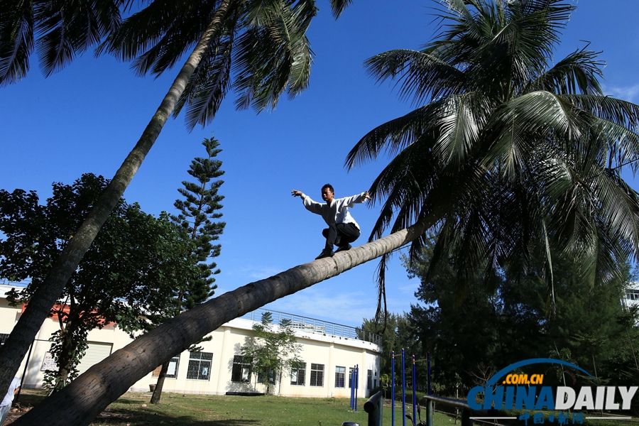 中國日報一周圖片精選：10月26日—11月1日