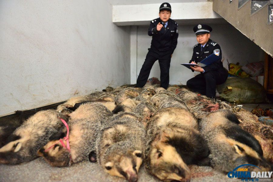 四川南充：“亮劍行動”搗毀非法加工野生動物窩點