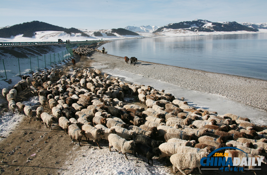 中國日報一周圖片精選：11月16日——22日