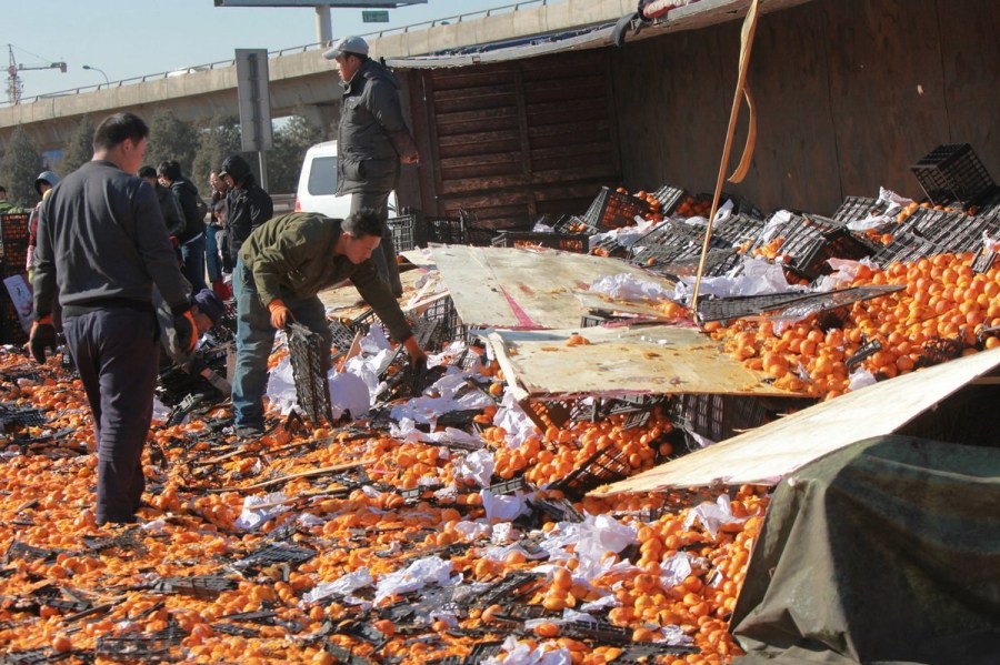 河北唐山貨車側翻35噸鮮桔遭哄搶