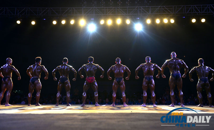 健美先生比基尼小姐大角逐 多國美女猛男云聚三亞