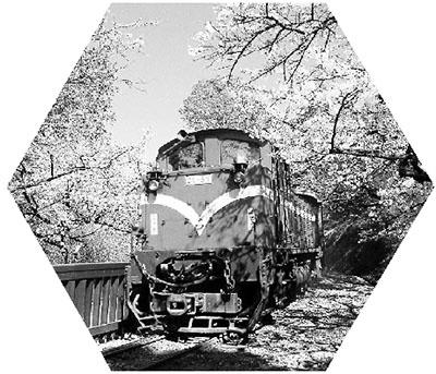 臺(tái)灣望與大陸聯(lián)手申遺 稱文化遺產(chǎn)無(wú)關(guān)政治