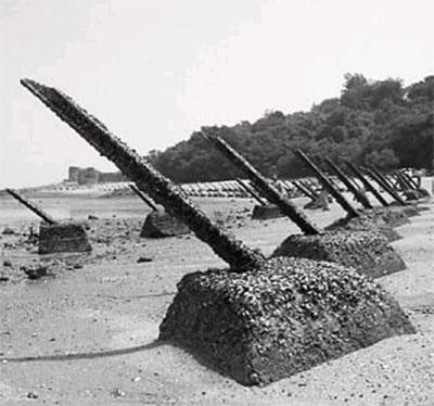 臺(tái)灣望與大陸聯(lián)手申遺 稱文化遺產(chǎn)無(wú)關(guān)政治