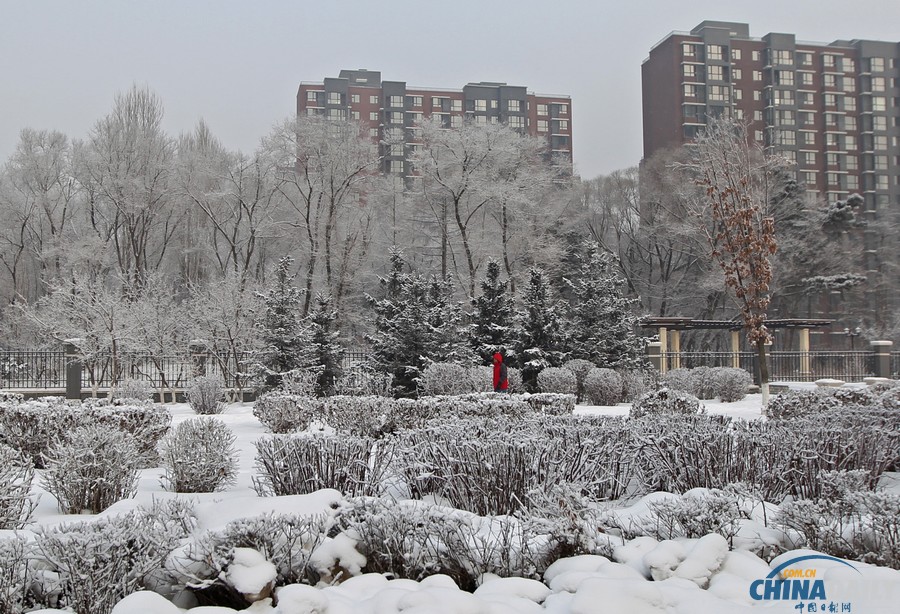 吉林連續四天出現霧霾天氣 空氣質量指數屬重度污染