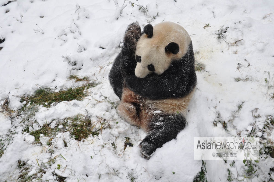 中國(guó)日?qǐng)?bào)一周圖片精選：12月14日—20日