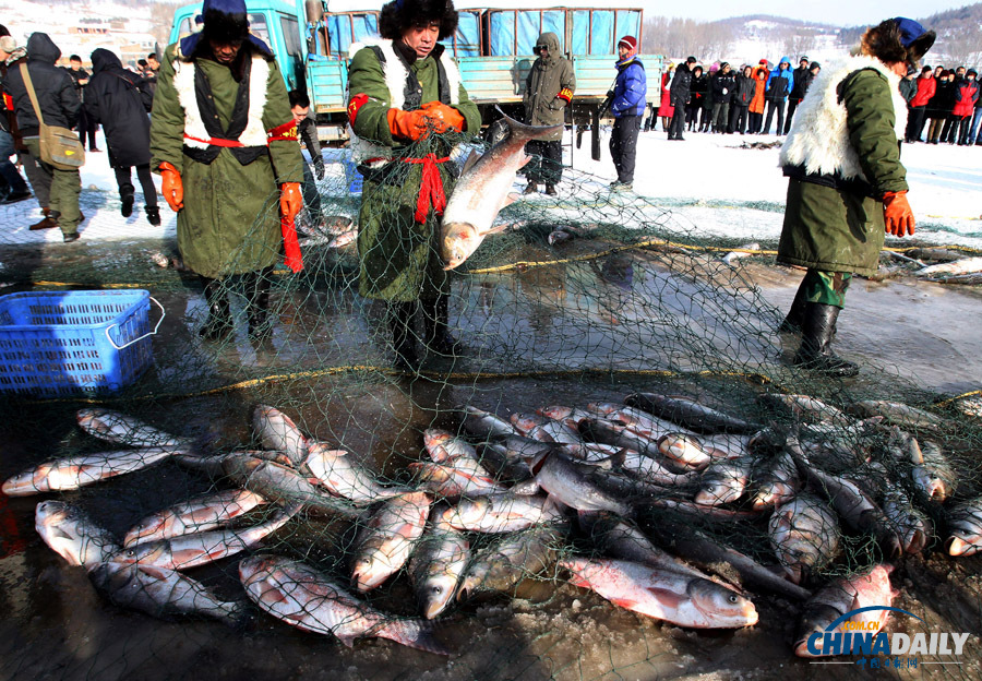 吉林長春石頭口門水庫開網捕魚