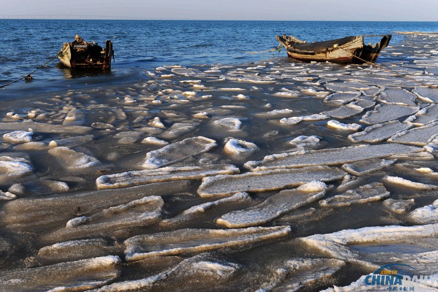 膠州灣出現初生海冰