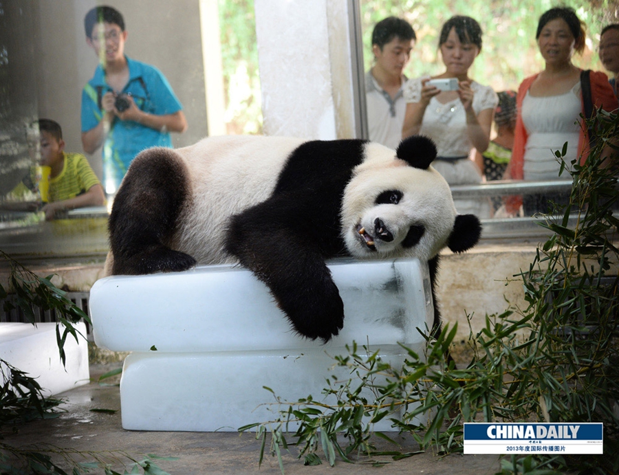 中國日報2013年度國際傳播圖片精選