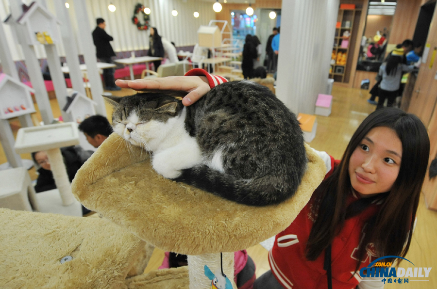 中國日報(bào)一周圖片精選：1月4日—10日