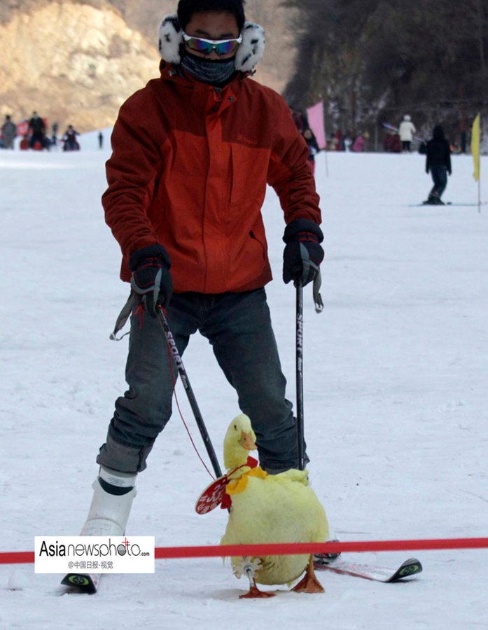 中國(guó)日?qǐng)?bào)一周圖片精選：1月11日—17日