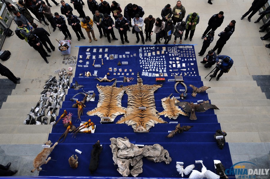 云南警方偵破一起特大走私販賣野生動物制品案