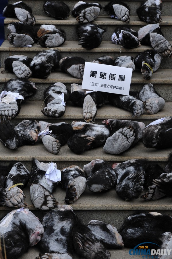 云南警方偵破一起特大走私販賣野生動物制品案