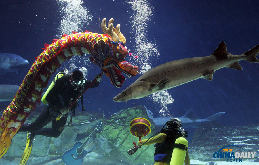 中國日報一周圖片精選：1月18日——24日