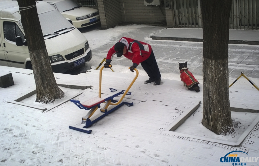 北京迎來馬年新春第一場降雪