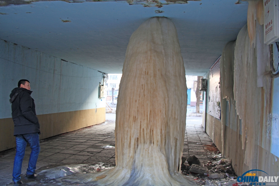 中國日報一周圖片精選：2月15日—21日