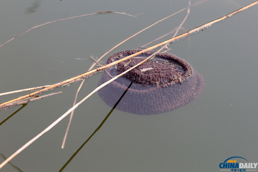 69歲老人為救兩落水女孩不幸溺亡