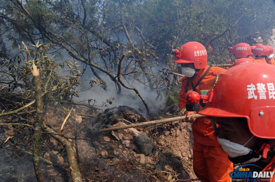云南富民突發森林火災 200名武警撲滅明火