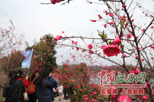 全國網絡媒體江西游首日 記者邂逅武寧“美女”