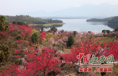 全國網絡媒體江西游首日 記者邂逅武寧“美女”