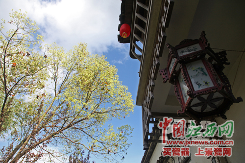 全國(guó)網(wǎng)媒記者探尋婺源嚴(yán)田千年古樟 觀看儺舞秀