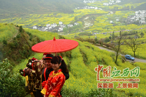 全國網媒記者逛婺源江嶺 邂逅花田喜事贊“天上人間”