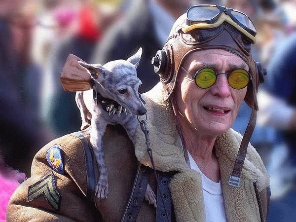 這樣的表情帝登峰造極了！