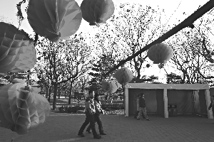 18條春節廟會公交專線公布