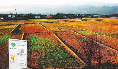 國土資源部部長：正視我國土地問題的三個(gè)“難以為繼”