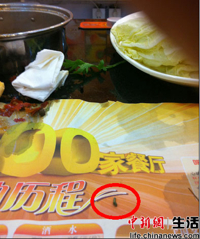 北京呷哺呷哺連鎖店吃出活蟲 自稱衛生清潔第一