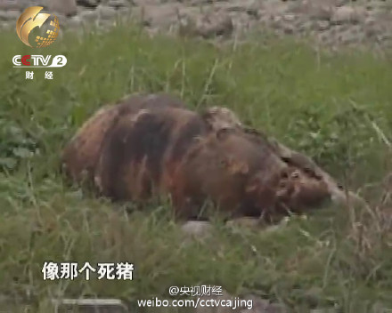 統(tǒng)計稱中國每年10億噸垃圾圍城 全世界數(shù)一數(shù)二