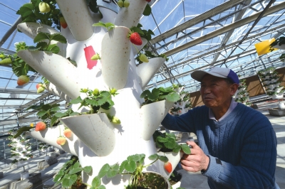 第三屆北京農業嘉年華 首增津冀館
