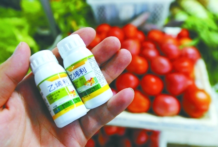 催熟劑成“法寶” 重慶暫未發現“催熟”瓜果