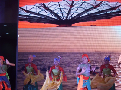 第三屆南洋文化節鷺島開幕