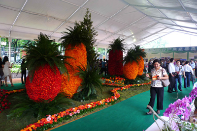 福建省直單位插花展開幕 促清流花卉產業發展