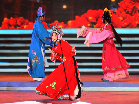 海峽論壇開(kāi)幕晚會(huì) 文緣血緣地緣“兩岸一家親”