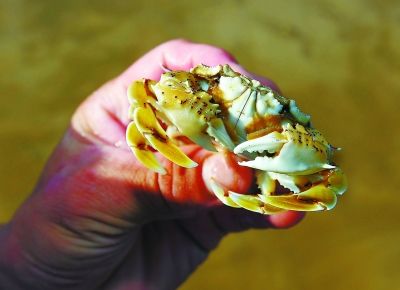 平潭夏季旅游火爆 搶床位成旅行社頭等大事