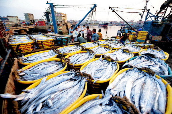 福建漁民講述赴釣魚島海域捕撈見聞